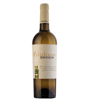 Friulano Friuli Colli Orientali DOC 2024 - Dario Coos