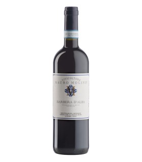 Barbera d’Alba 2021- Mauro Molino