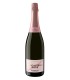 Piancastello Spumante Rosé Brut Riserva 2019 Trento DOC Metodo classico - Endrizzi
