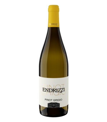 Pinot Grigio Trentino DOC 2024 - Endrizzi