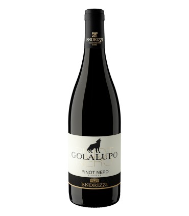 Golalupo Pinot Nero Trentino DOC Riserva 2022 - Endrizzi