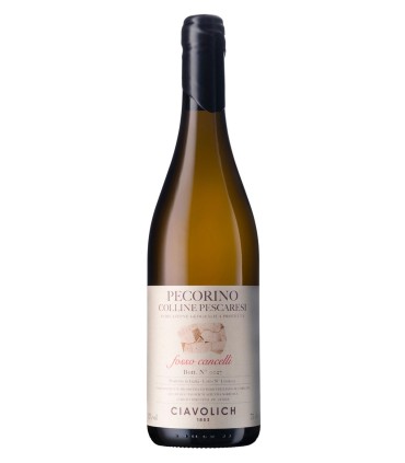 Pecorino Colline Pescaresi IGP Fosso Cancelli 2020 - Ciavolich