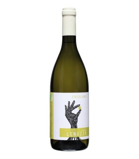 Friulano Friuli Colli Orientali DOP 2023 - Vigna Lenuzza