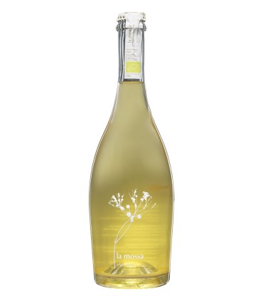 La Mossa di Baal Colli di Salerno IGT 2022 - Casa di Baal