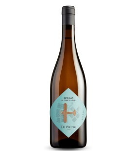 Riesling Terre di Chieti IGT 2021 - Di Sipio