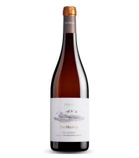 Pecorino Terre di Chieti IGP 2024 - Di Sipio