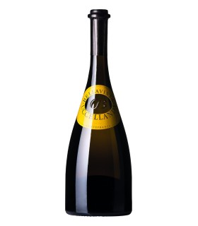Uccellanda Curtefranca Bianco DOC 2020 - Bellavista