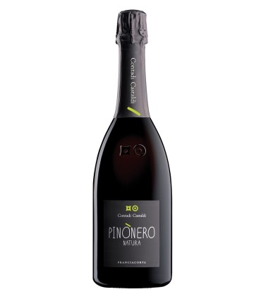 Franciacorta DOCG Dosaggio Zero Pinònero Natura 2017 - Contadi Castaldi x 3