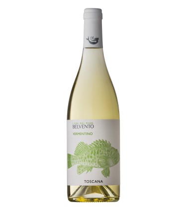 Vermentino Toscana IGT 2024 - Belvento