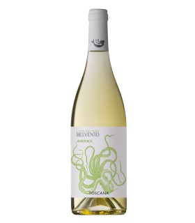 Ansonica Toscana IGT 2024 - Belvento
