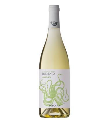 Ansonica Toscana IGT 2024 - Belvento
