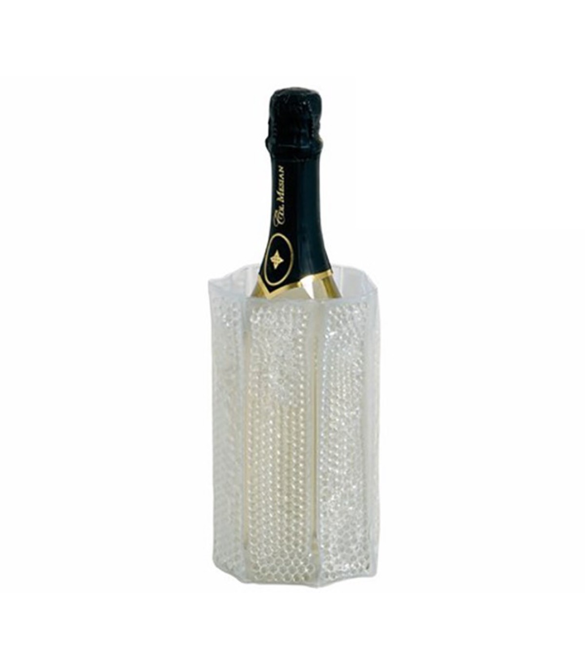 Fascia Coolant bottle