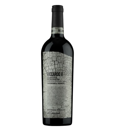 Riccardo V Corvina Veronese IGT 2019 - Tenuta il Canovino