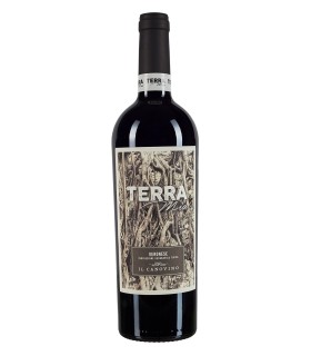 Terra Mia Rosso Veronese IGT 2019 - Tenuta il Canovino