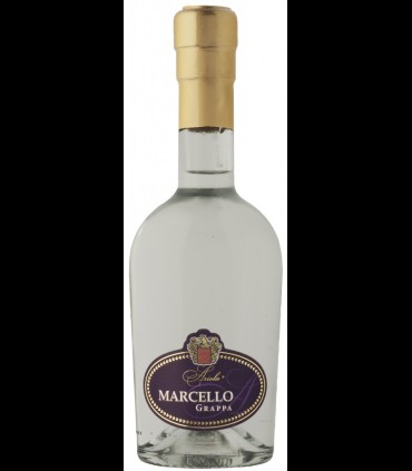 Grappa Marcello di Lambrusco - Ariola