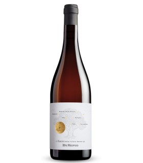 Colline Teatine Bianco IGP 2016 - Di Sipio