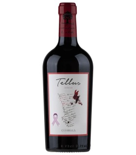 Syrah Tellus Lazio IGP - Falesco