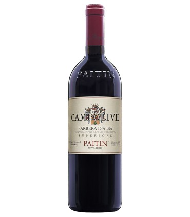 Campolive Barbera d'Alba Superiore DOC 2022 - Paitin