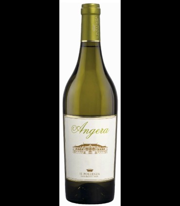 Angera Bianco Colli Maceratesi DOC - Il Pollenza