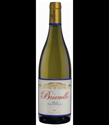Brianello Bianco Marche IGT 2014 - Il Pollenza