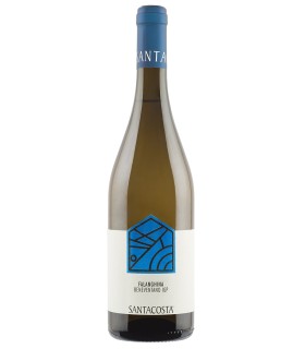 Falanghina IGT Beneventano - Santacosta