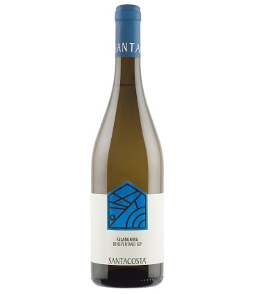 Falanghina IGT Beneventano - Santacosta