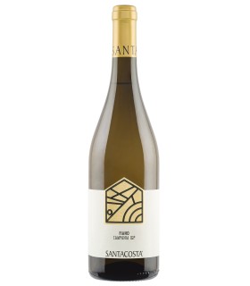 Fiano IGT Campania - Santacosta