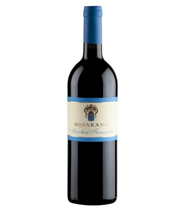 Squarano Valpolicella Classico Superiore DOC - Fumanelli