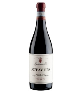 Octavius Amarone della Valpolicella riserva DOCG 2017 - Fumanelli