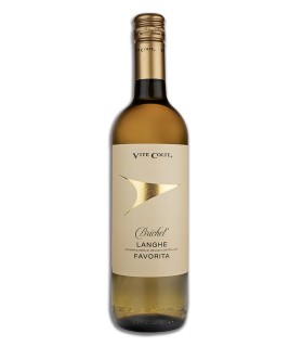 Brichet Langhe Favorita DOC 2024 - Vite Colte