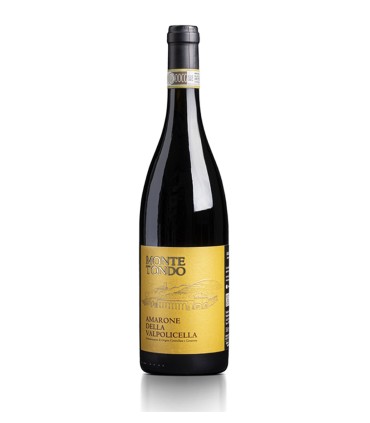 Amarone della Valpolicella DOCG 2019 - Monte Tondo