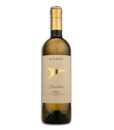 Aureliana Gavi DOCG 2023 - Vite Colte