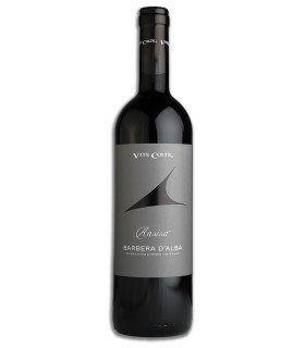 Ansisa Barbera d'Alba DOC 2022 - Vite Colte