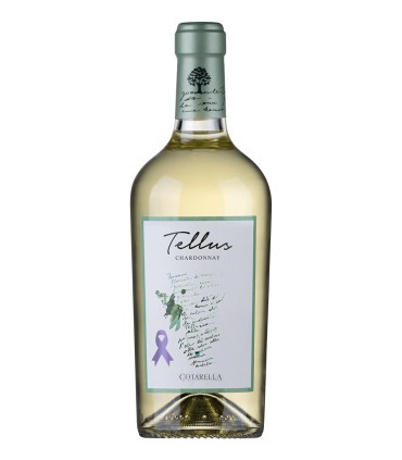 Chardonnay Tellus Lazio IGP 2024 - Cotarella