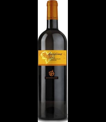 Gavigliano Lacrima di Morro d'alba Superiore DOC 2015 - Luciano Landi