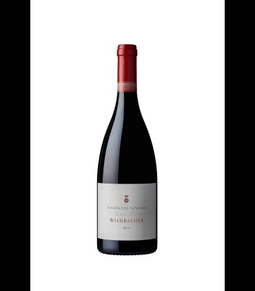 Wildbacher Magnum Colli Trevigiani IGT 2010 - Tenuta Col Sandago