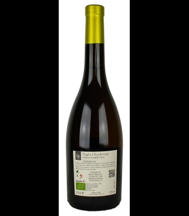 Don Franc’ Chardonnay I. G. T. sparkling White Biological - Sessanta Passi
