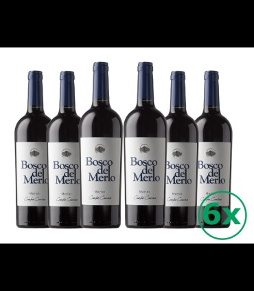 Campo Camino Lison Pramaggiore Merlot DOC 2013 - Bosco del Merlo