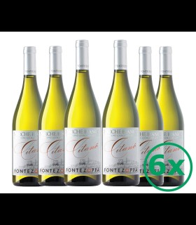 Citanò Marche IGT White - Fontepozza