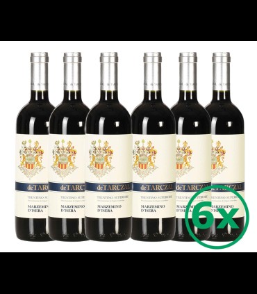 Marzemino d'isera Trentino Superiore DOC 2014 - de Tarczal