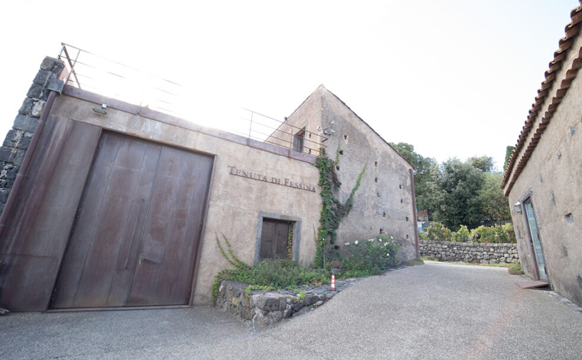 Vini della Tenuta di Fessina