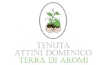Tenuta Attini Domenico