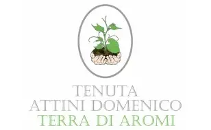 Tenuta Attini Domenico