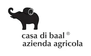 Casa di Baal