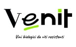 Venit